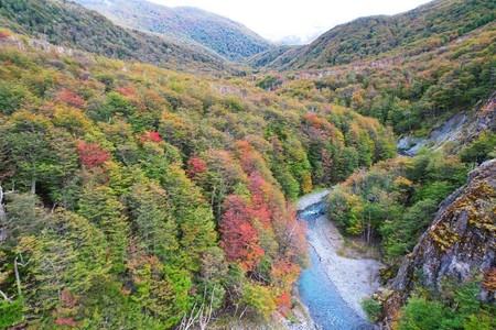 Terreno en Venta en Lago General Carrera | UF 21.250