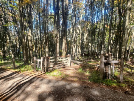 Terreno en Venta en Coyhaique | UF 1.990