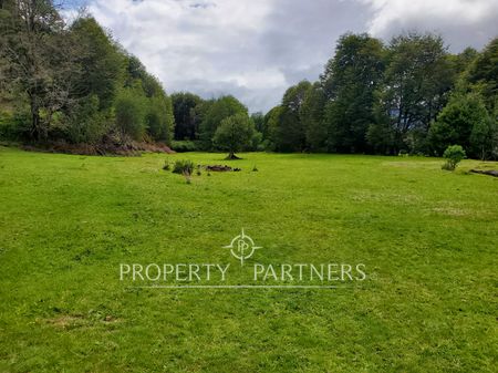 Parcela en Venta en Puerto Río Tranquilo | UF 1.200