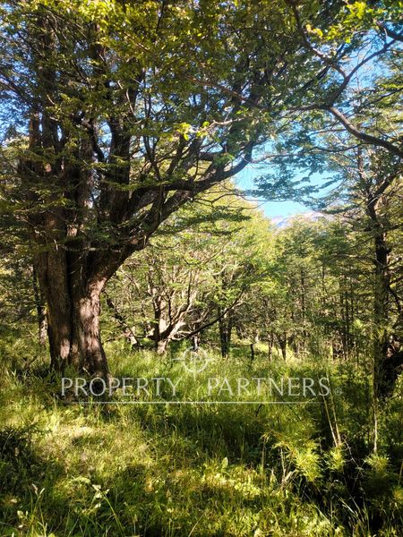 Terreno en Venta en Coyhaique | UF 2.750