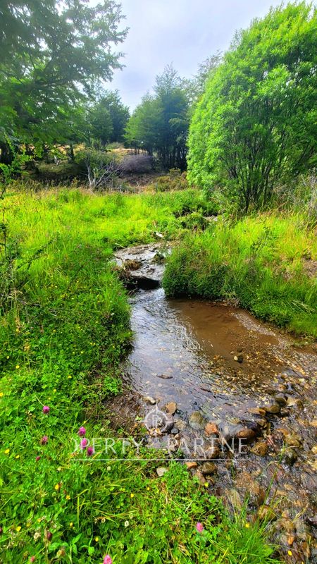 Terreno en Venta en Lago General Carrera | UF 2.900